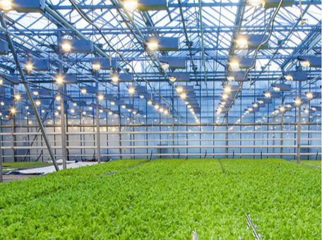How To Choose The Right LED Grow Light