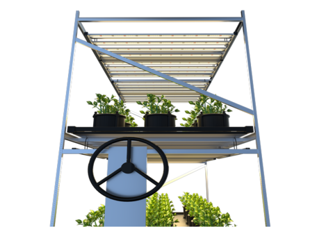 What Are Types And Things To Consider When Choosing A Planting Frame